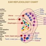 Ear Acupressure