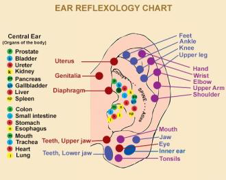 ear acupressure chart